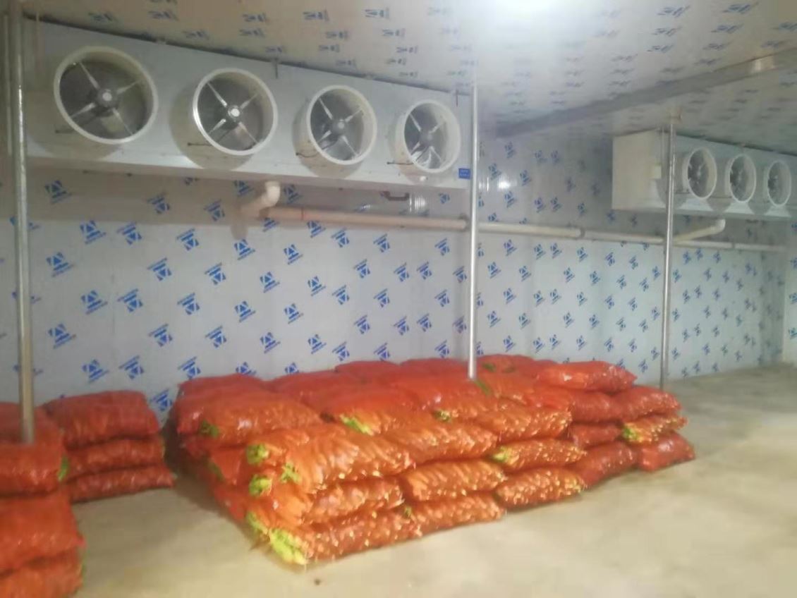 昆明蔬菜冷庫(kù)的建造方案如何有效的確定