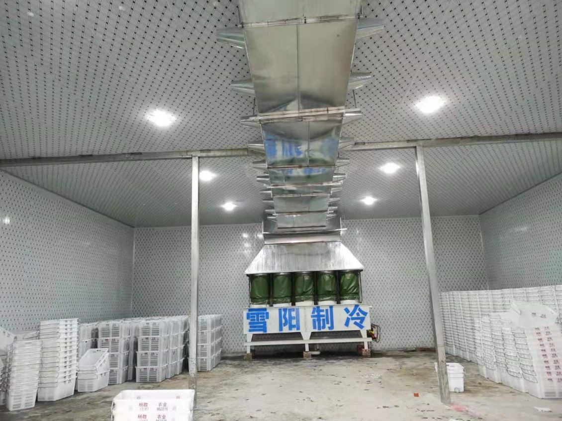 蔬菜冷庫的造價(jià)大概多少