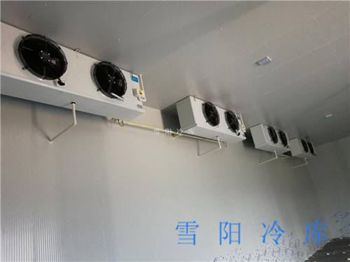 氣候因素會影響昆